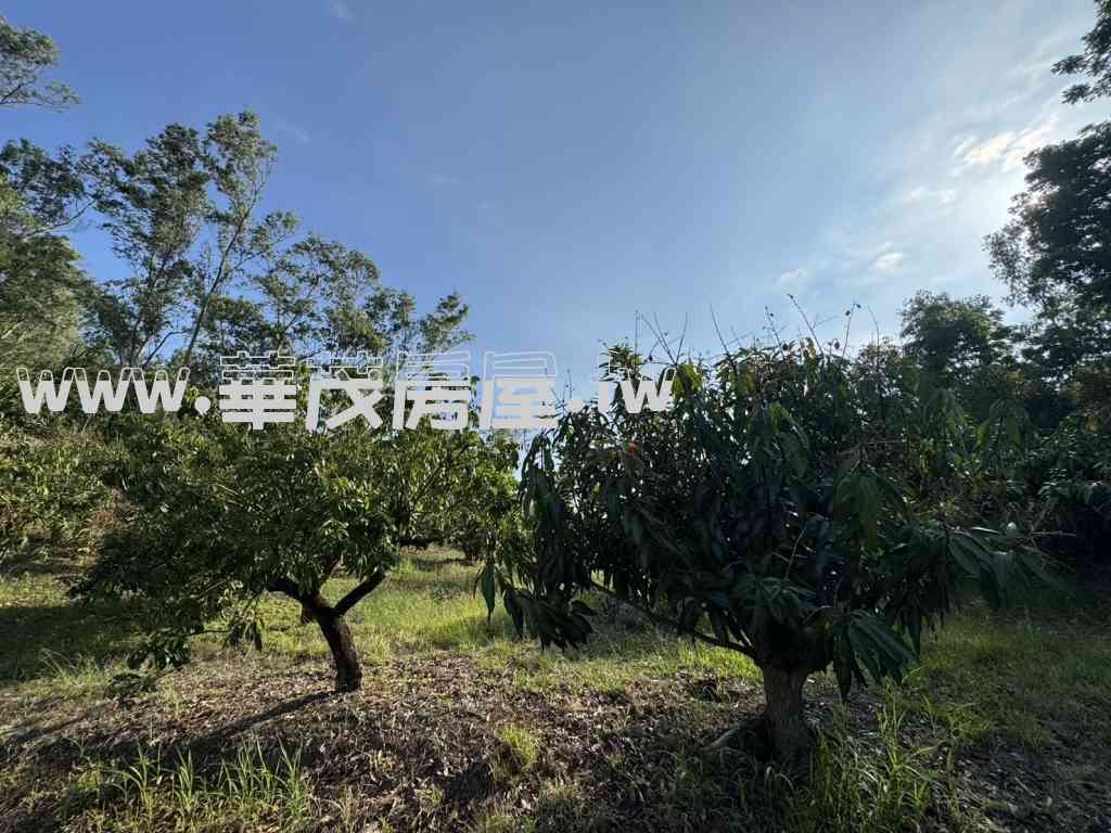 玉井區    口宵里1.9分休閒農地視意圖