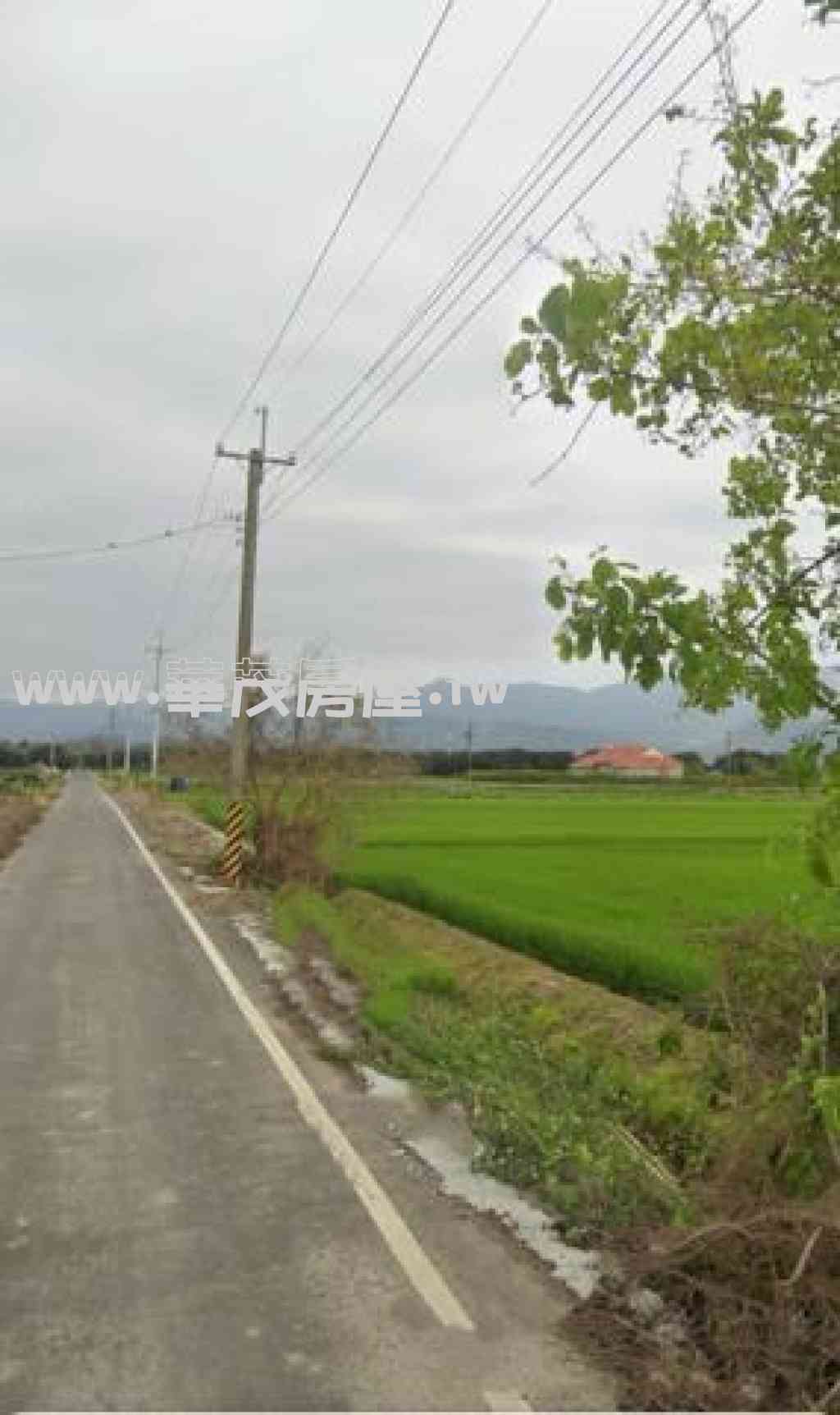 白河 竹門國小631坪農地視意圖