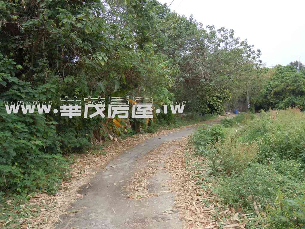 白河  近172線道(172坪)農地視意圖
